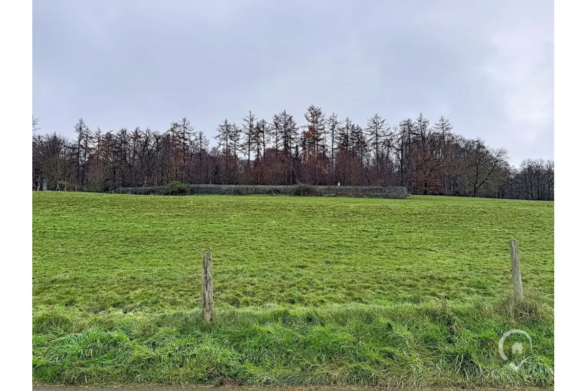 Terrain à bâtir à vendre à Naomé 5555 73000.00€  chambres m² - annonce 652491