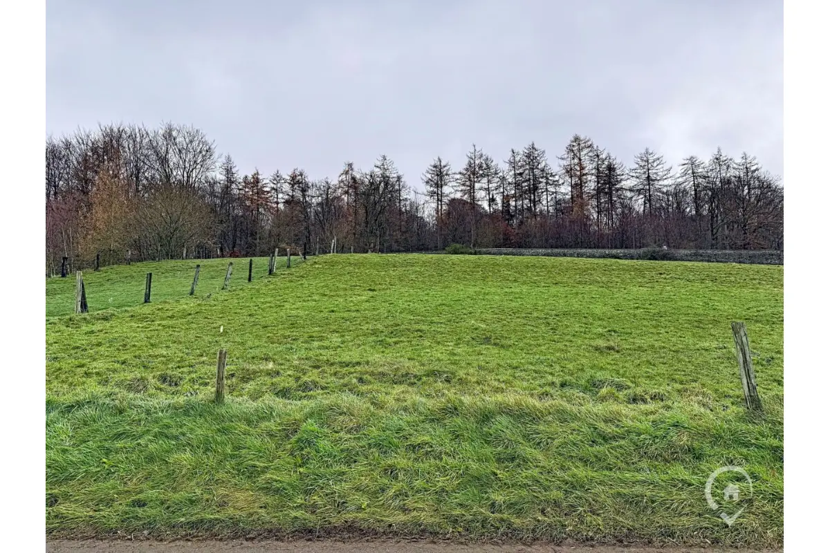 Terrain à bâtir à vendre à Naomé 5555 75000.00€  chambres m² - annonce 652489