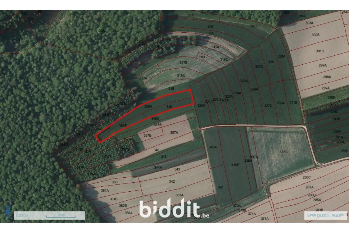 Terrain à vendre à Willerzie 5575 6200.00€  chambres m² - annonce 654461