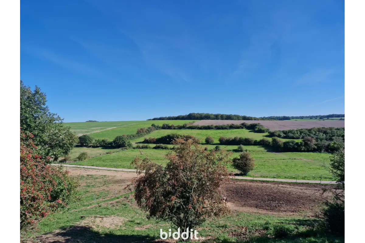 Terrain non bâtissable à vendre à Florennes 5620 39123.00€  chambres m² - annonce 654477