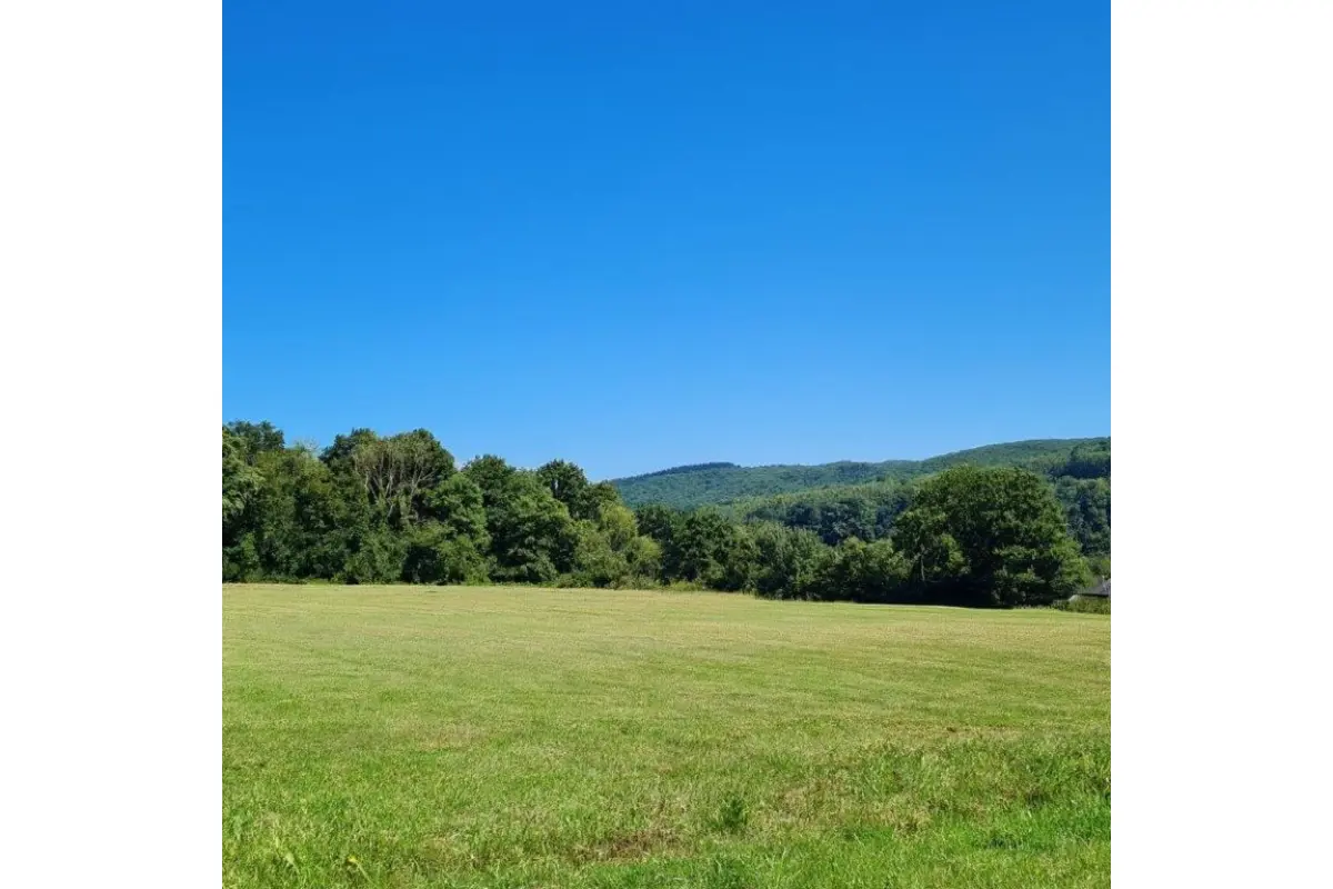 Terrain à vendre à Agimont 5544 264240.00€  chambres m² - annonce 661448