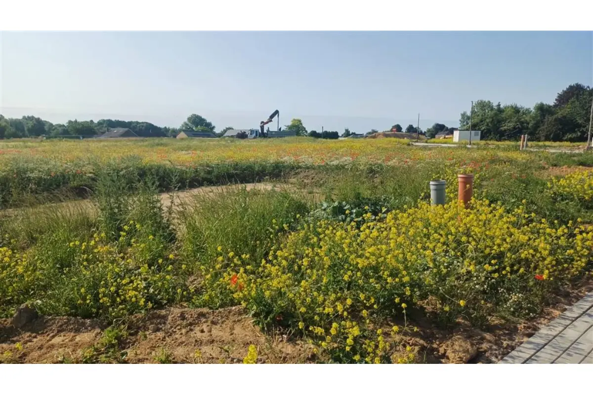 Terrain à vendre à Eghezée 5310 185000.00€  chambres m² - annonce 662219