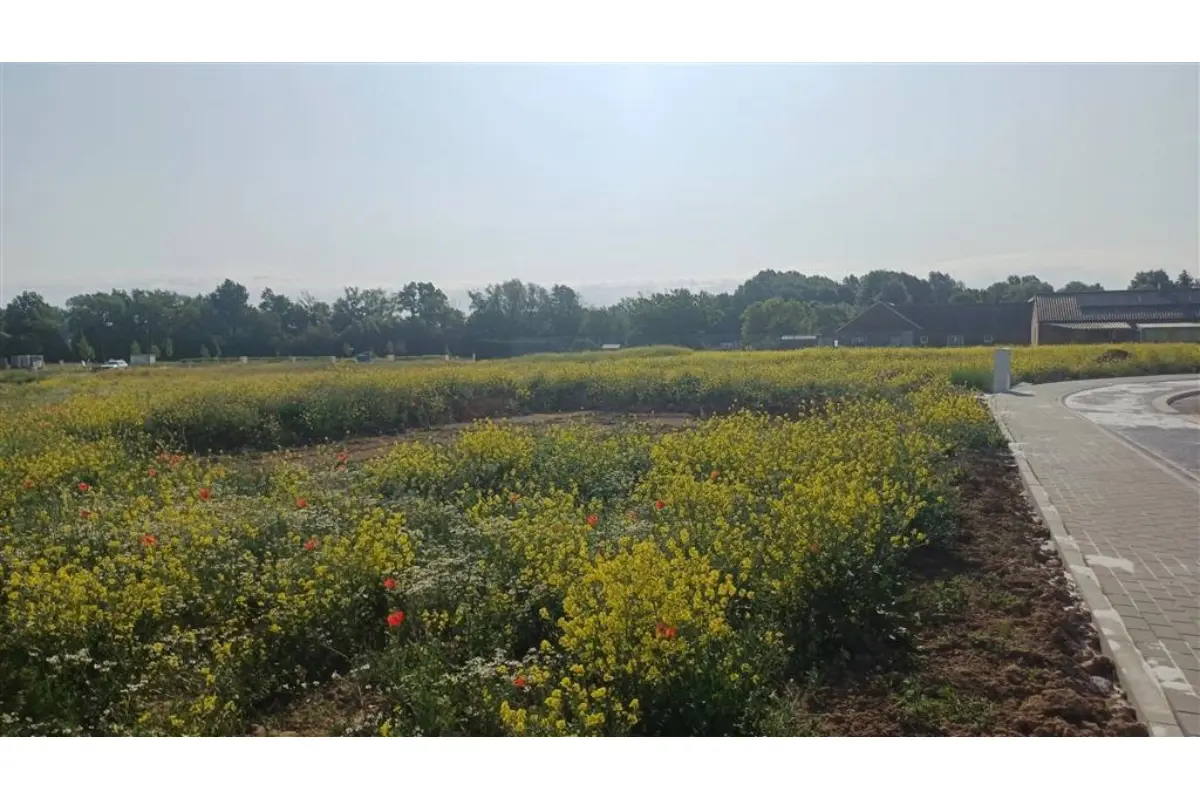 Terrain à vendre à Eghezée 5310 155000.00€  chambres m² - annonce 662216