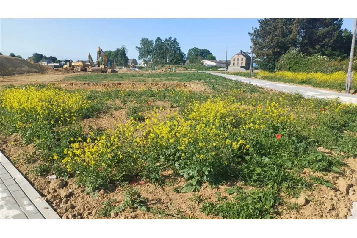 Terrain à vendre à Eghezée 5310 205000.00€  chambres m² - annonce 662238