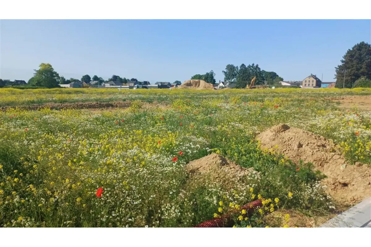 Terrain à vendre à Eghezée 5310 159000.00€  chambres m² - annonce 662218