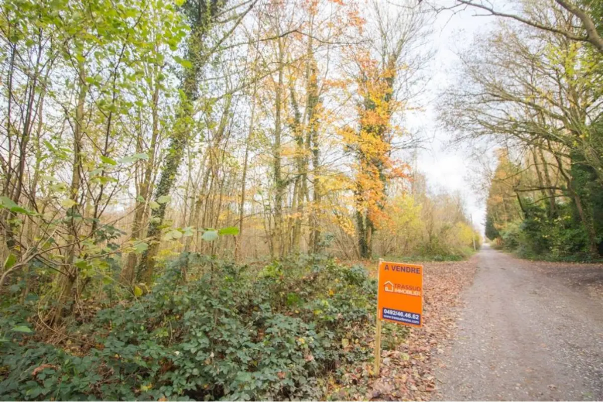 Terrain non bâtissable à vendre à Berzée 5651 99000.00€  chambres m² - annonce 666319