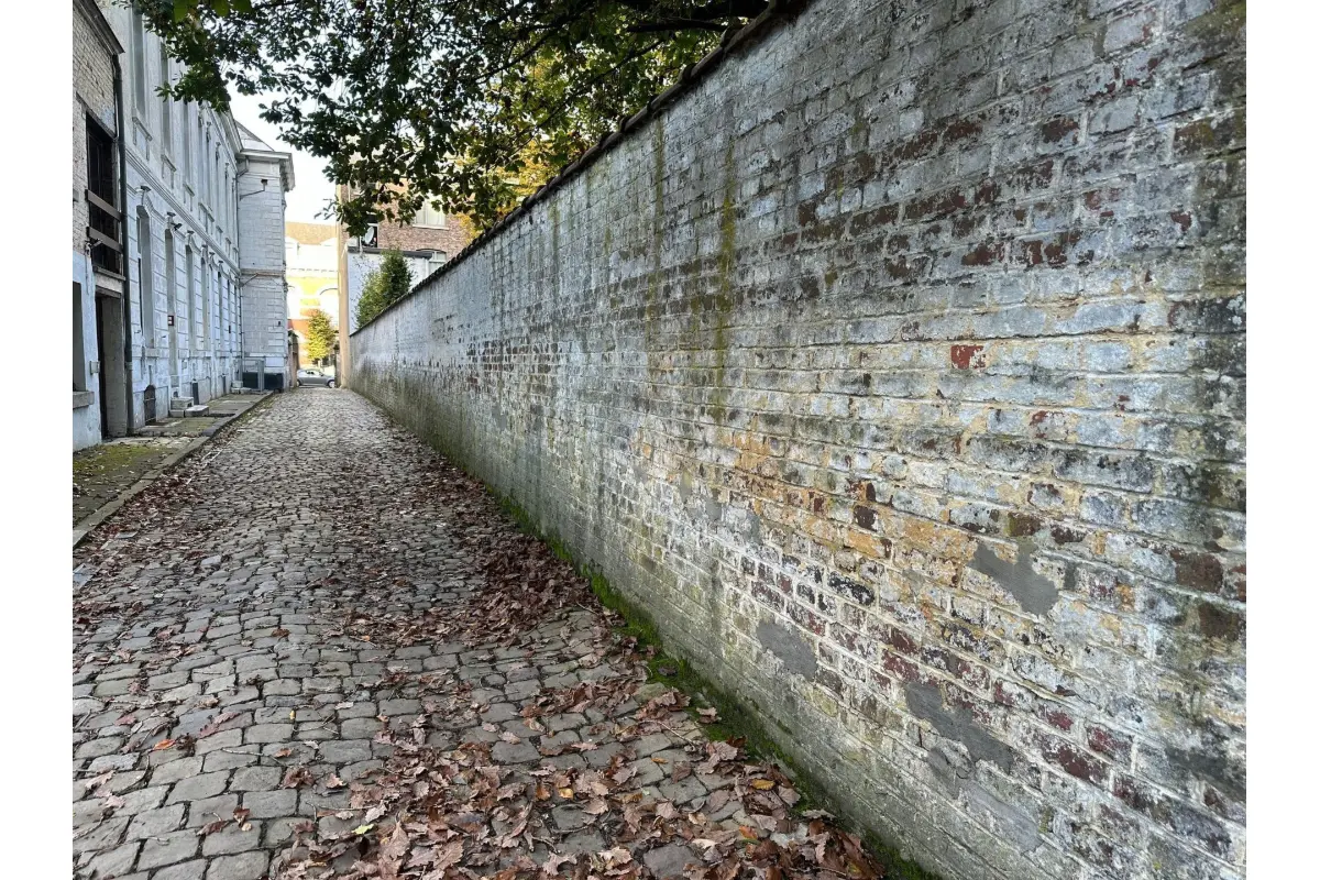 Parking à louer à Namur 5000 90.00€  chambres m² - annonce 667329