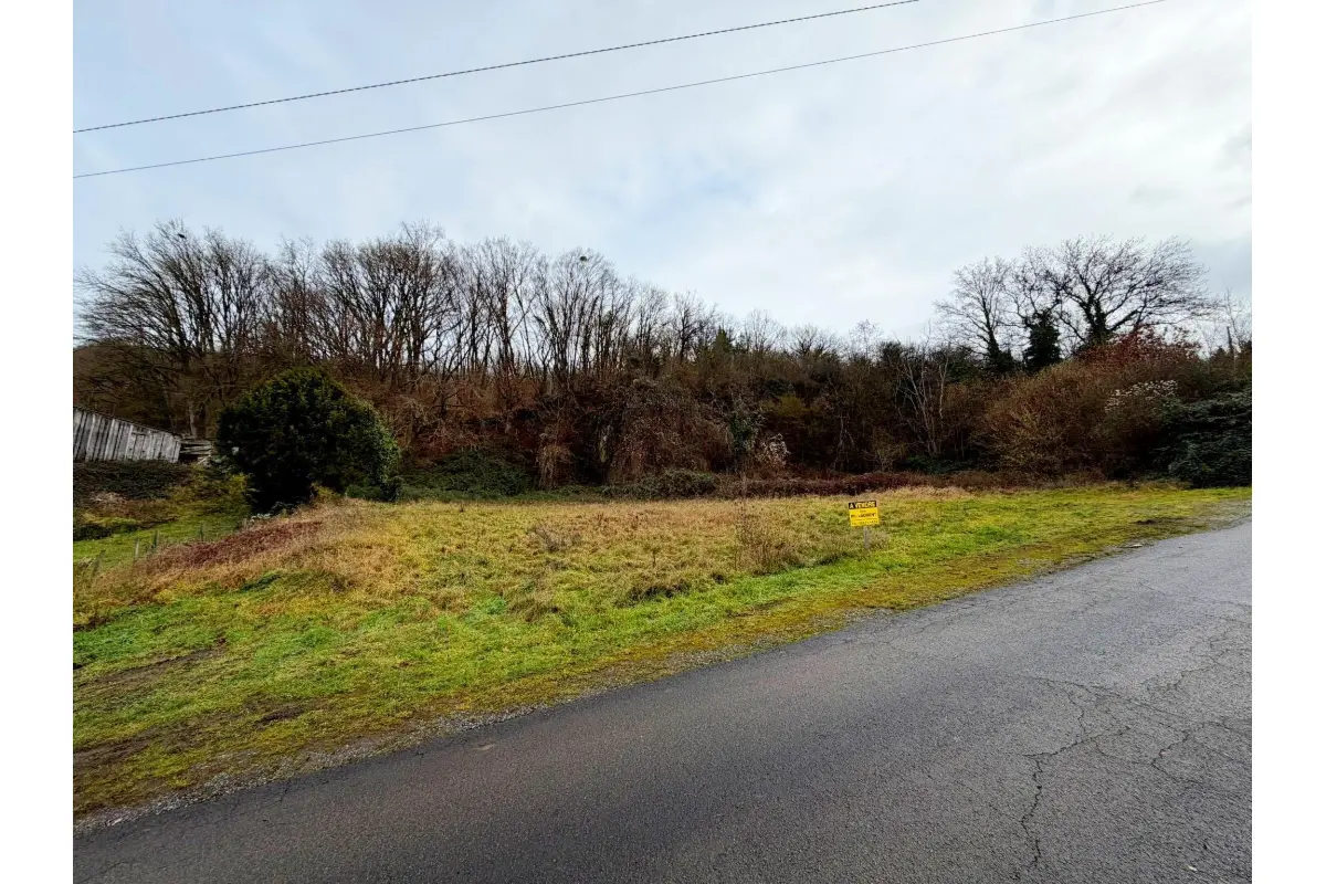 Terrain à vendre à Heer 5543 55000.00€  chambres m² - annonce 668181