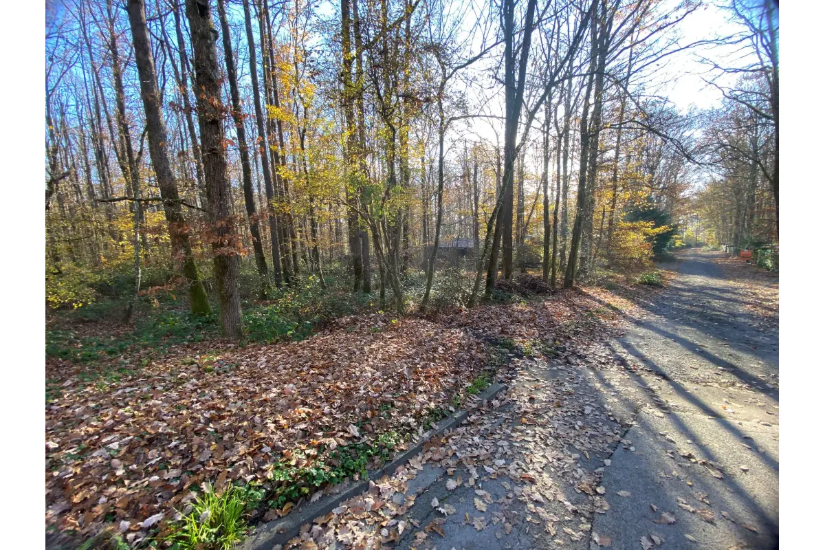 Terrain à bâtir à vendre à Neuville 5600 42000.00€  chambres m² - annonce 672259