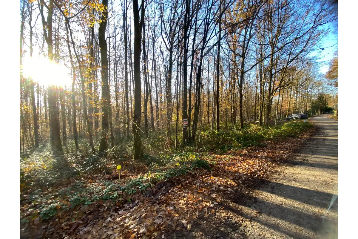 Terrain à bâtir à vendre à Neuville 5600 40000.00€  chambres m² - annonce 672256