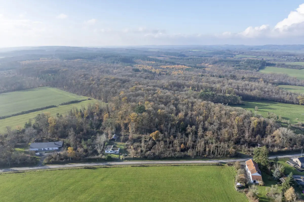 Terrain à vendre à Somme-Leuze 5377 115000.00€  chambres m² - annonce 673417