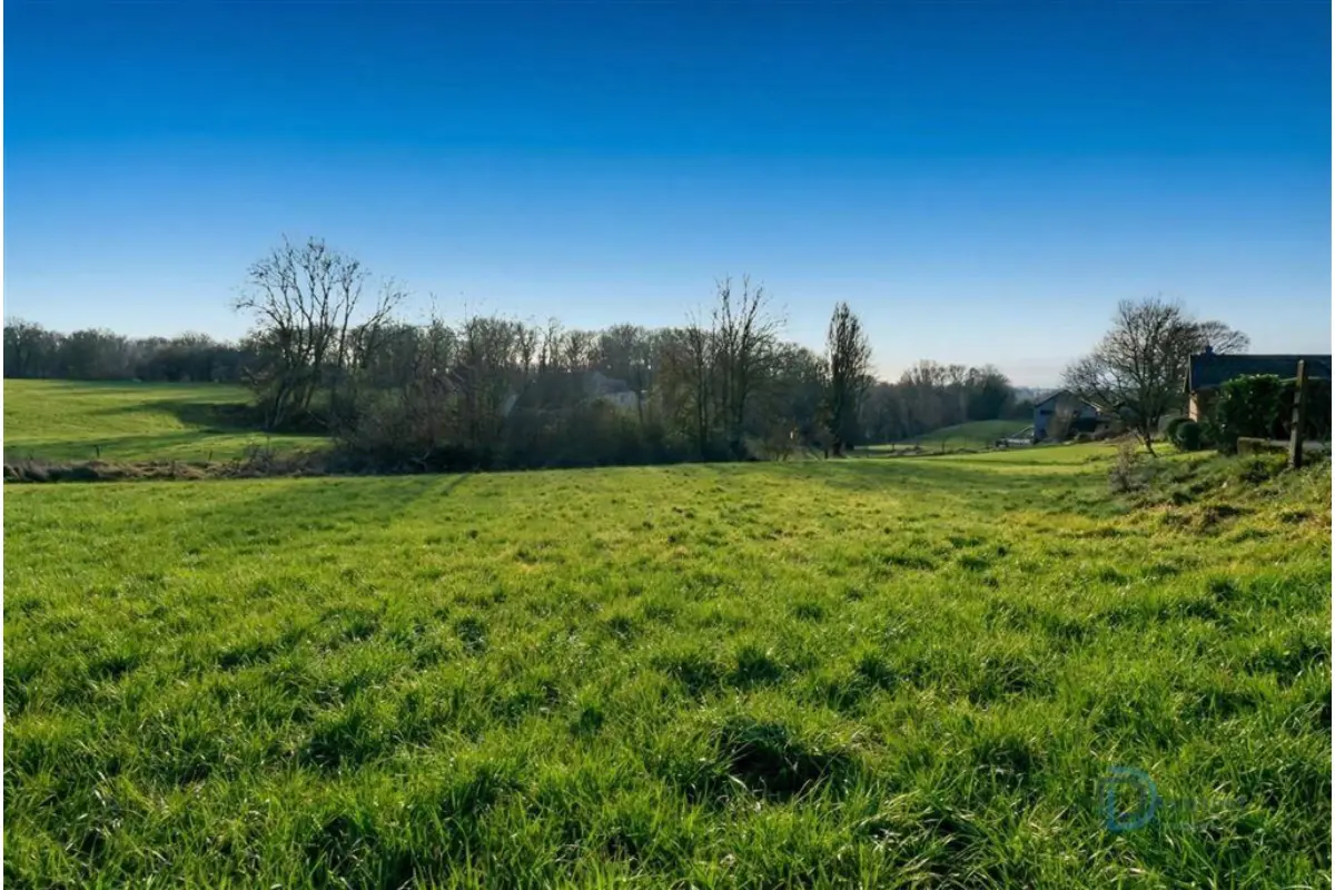 Terrain à vendre à Sautour 5600 98000.00€  chambres m² - annonce 674072