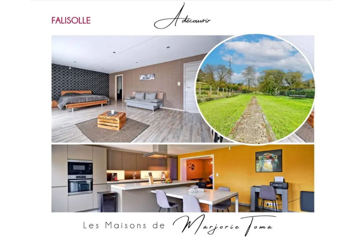 Maison à vendre à Falisolle 5060 320000.00€ 2 chambres 340.94m² - annonce 676979