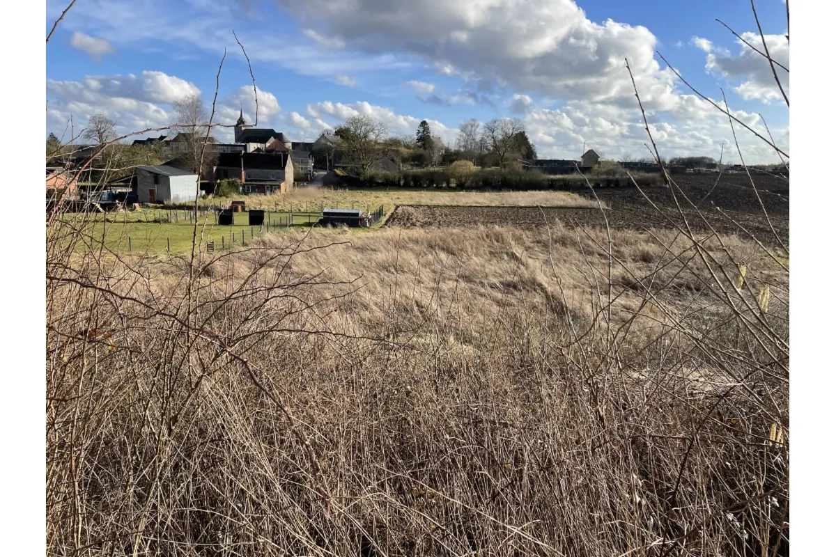 Terrain à vendre à Neuville 5600 55000.00€  chambres m² - annonce 678150