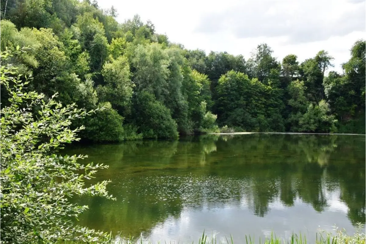 Terrain à vendre à Ciney 5590 250000.00€  chambres m² - annonce 680835