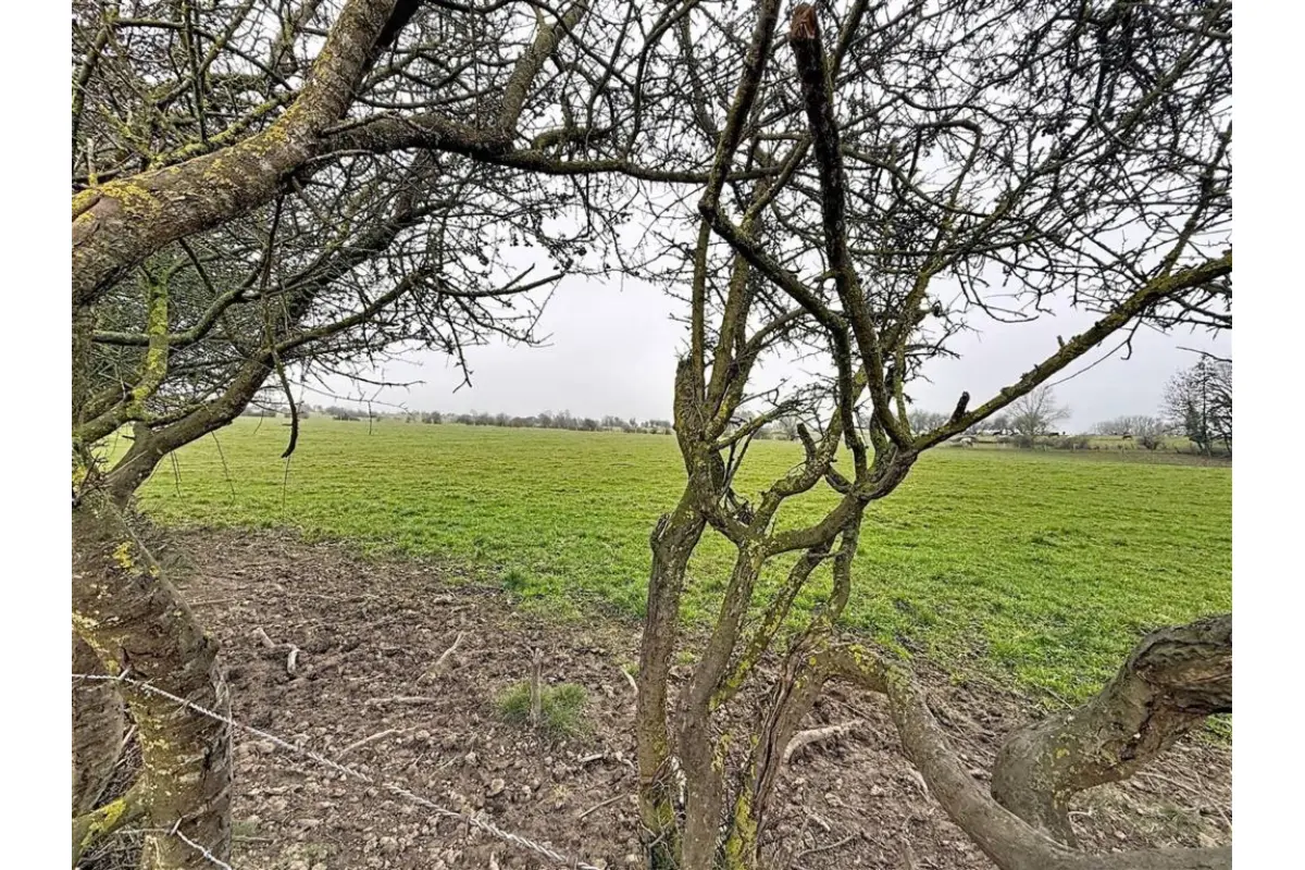 Terrain à vendre à Mesnil-Saint-Blaise 5560 49000.00€  chambres m² - annonce 681449