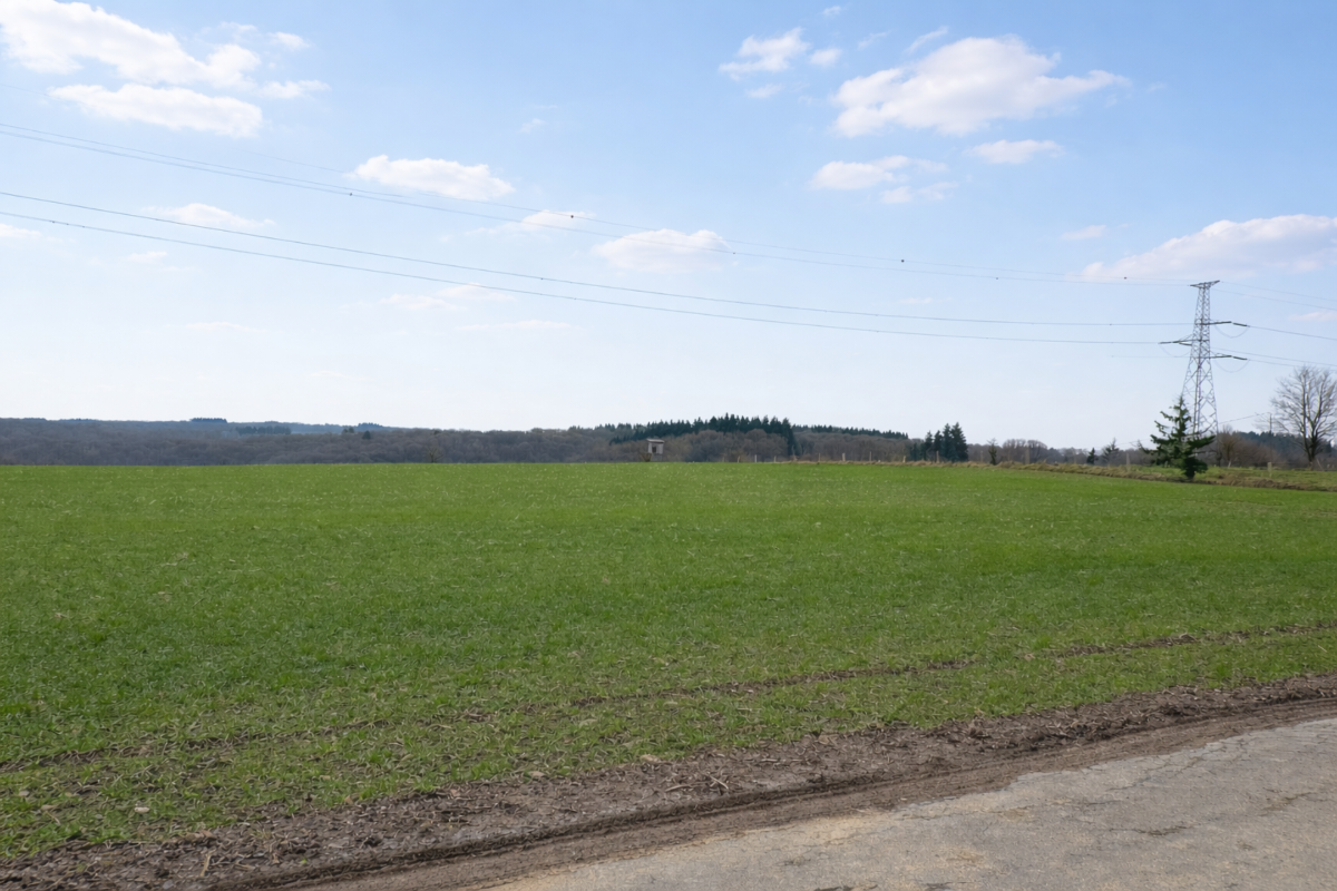 Terrain à vendre à Hulsonniaux 5560 95000.00€  chambres m² - annonce 692902