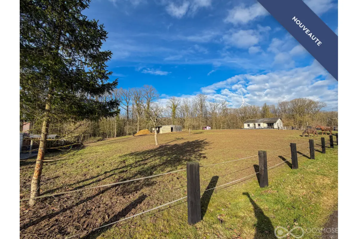 Terrain à  à Fagnolle 5600 65000.00€  chambres m² - annonce 693825