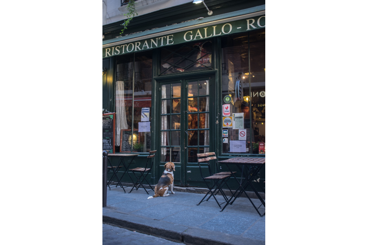 Commerce à vendre à Dinant 5500 350000.00€  chambres 150.00m² - annonce 696825