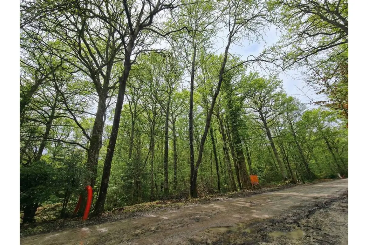 Terrain à vendre à Cerfontaine 5630 59000.00€  chambres m² - annonce 699366