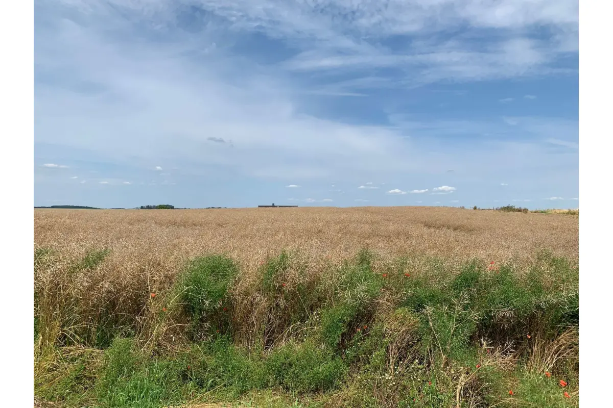 Terrain à  à Hastière 5540 65000.00€  chambres m² - annonce 703282