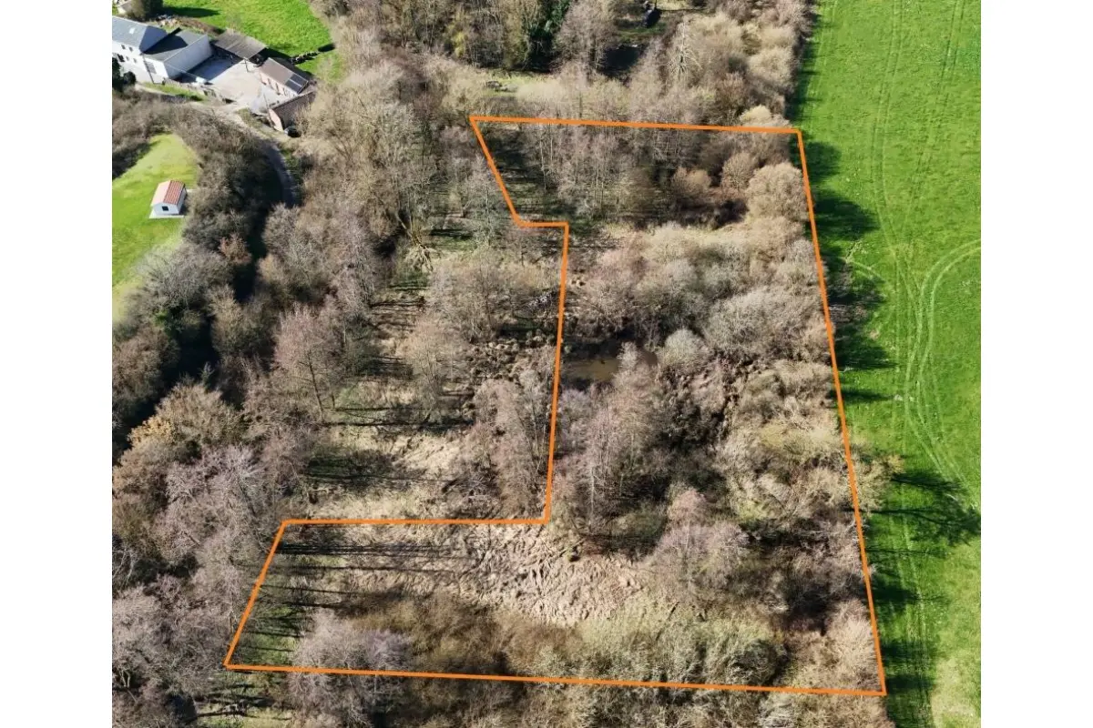 Terrain à vendre à Thy-le-Bauduin 5621 75000.00€  chambres m² - annonce 708566