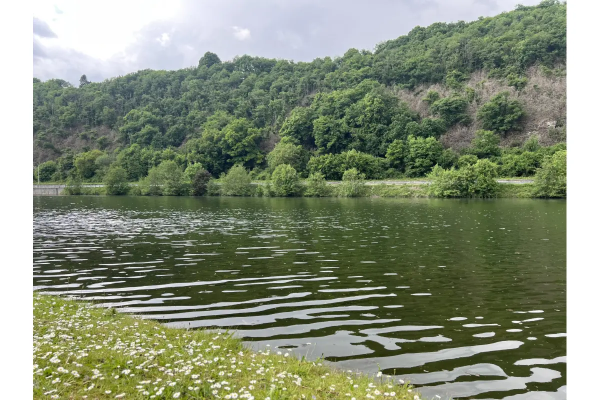 Terrain à  à Hastière 5540 99000.00€  chambres m² - annonce 708696