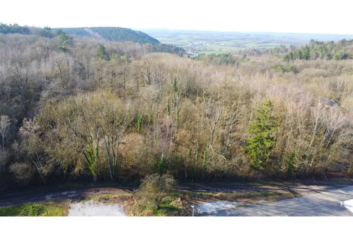 Terrain à vendre à Frasnes 5660 150000.00€  chambres m² - annonce 709387