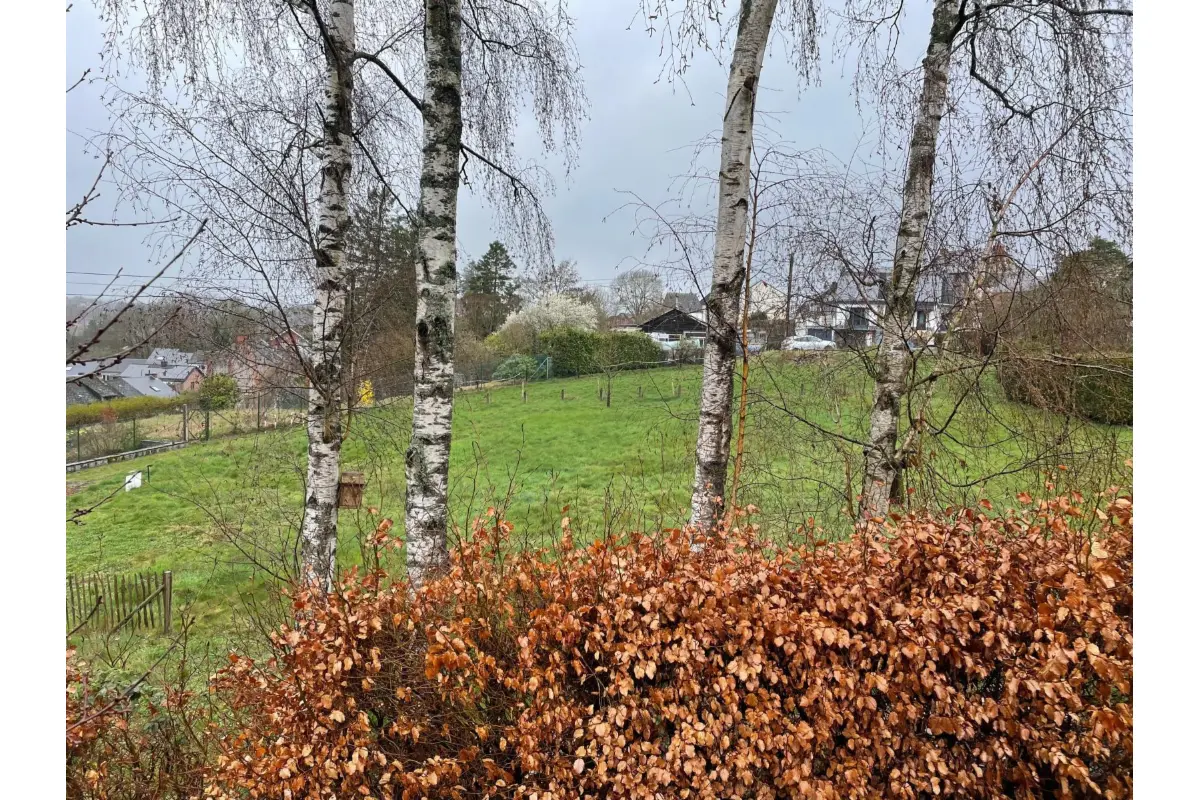 Terrain à vendre à Couvin 5660 75000.00€  chambres m² - annonce 710970