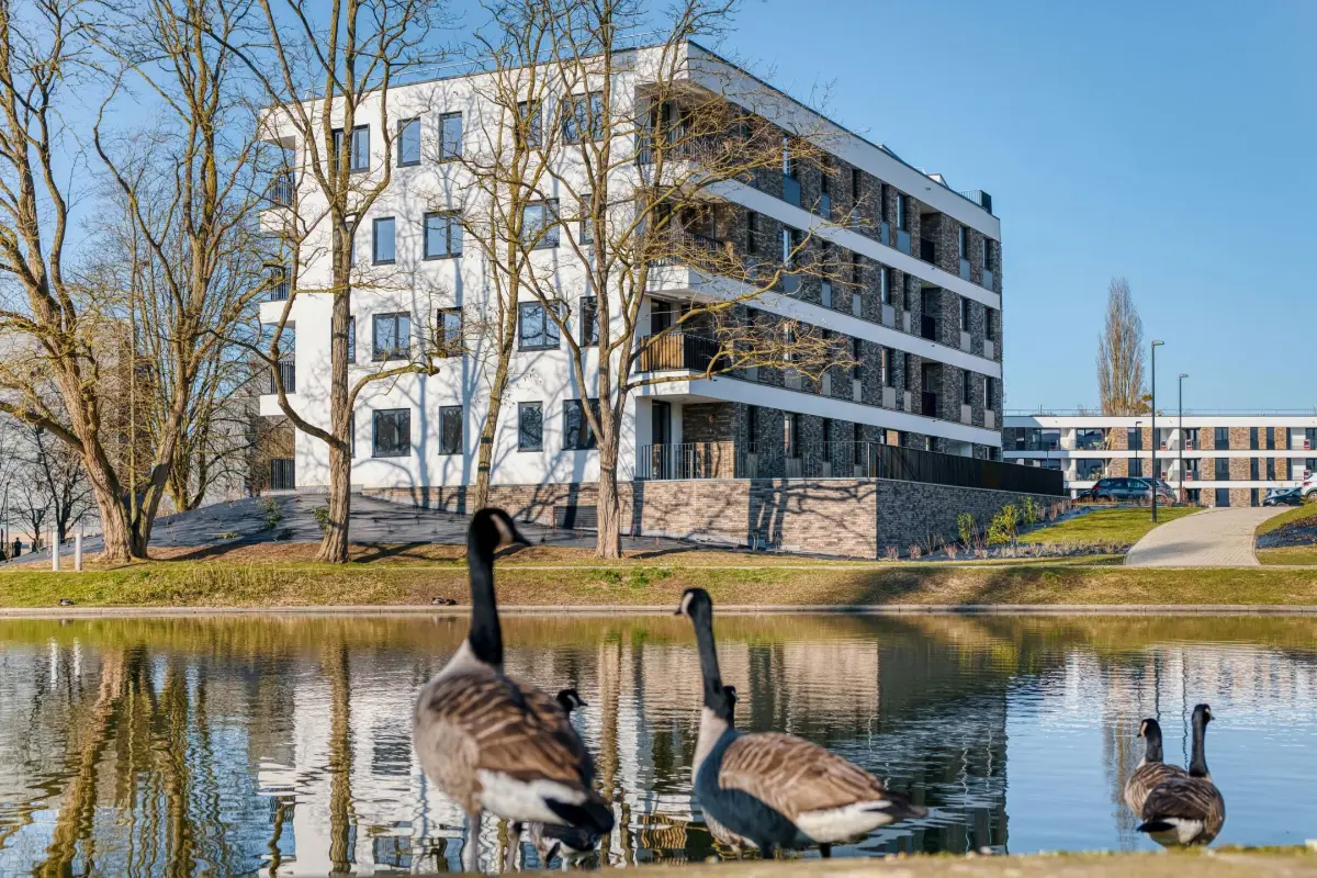 Appartement à vendre à Jambes 5100 267000.00€ 2 chambres 94.50m² - annonce 726799