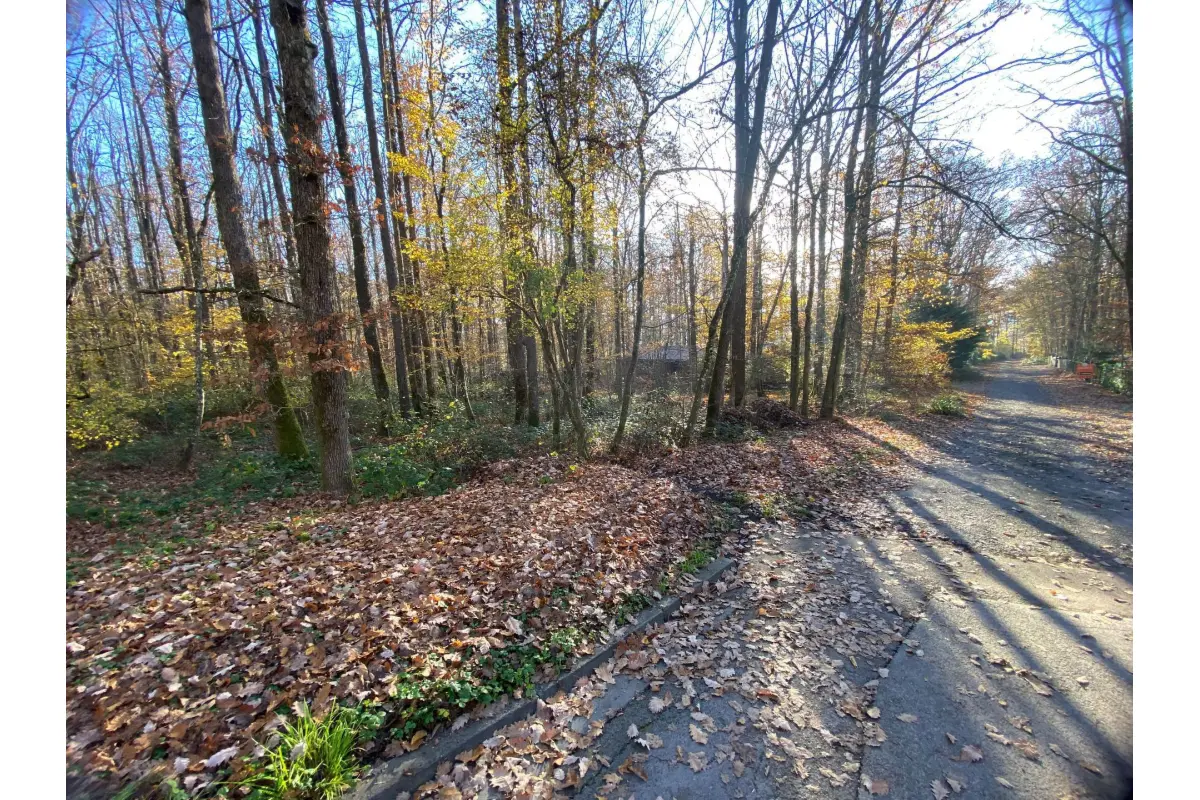 Terrain à vendre à Neuville 5600 42000.00€  chambres m² - annonce 724960