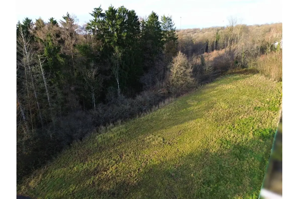 Terrain à vendre à Neuville 5600 62500.00€  chambres m² - annonce 742443