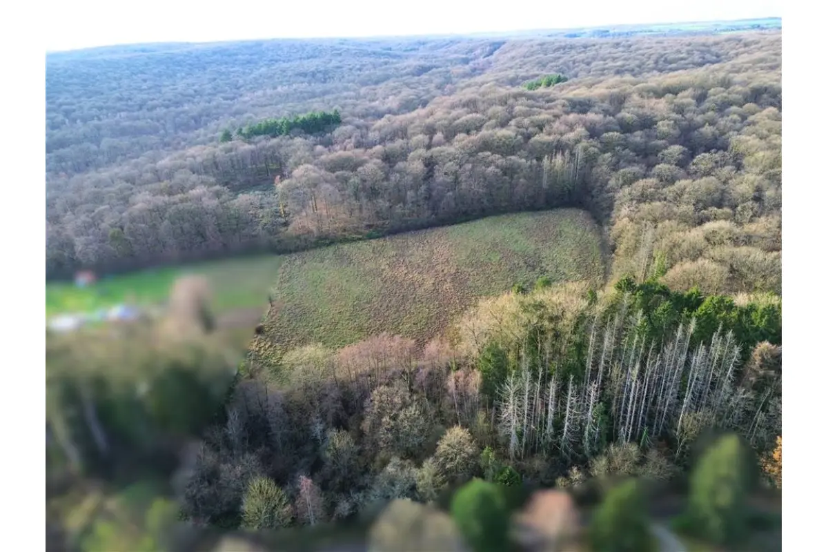 Terrain à vendre à Neuville 5600 95000.00€  chambres m² - annonce 742442