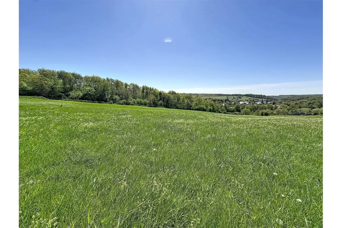 Terrain à vendre à Thy-le-Bauduin 5621 125000.00€  chambres m² - annonce 749480