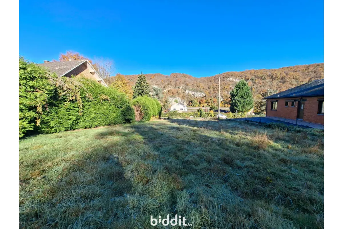 Terrain à bâtir à vendre à Hastière-par-Delà 5541 60000.00€  chambres m² - annonce 753611