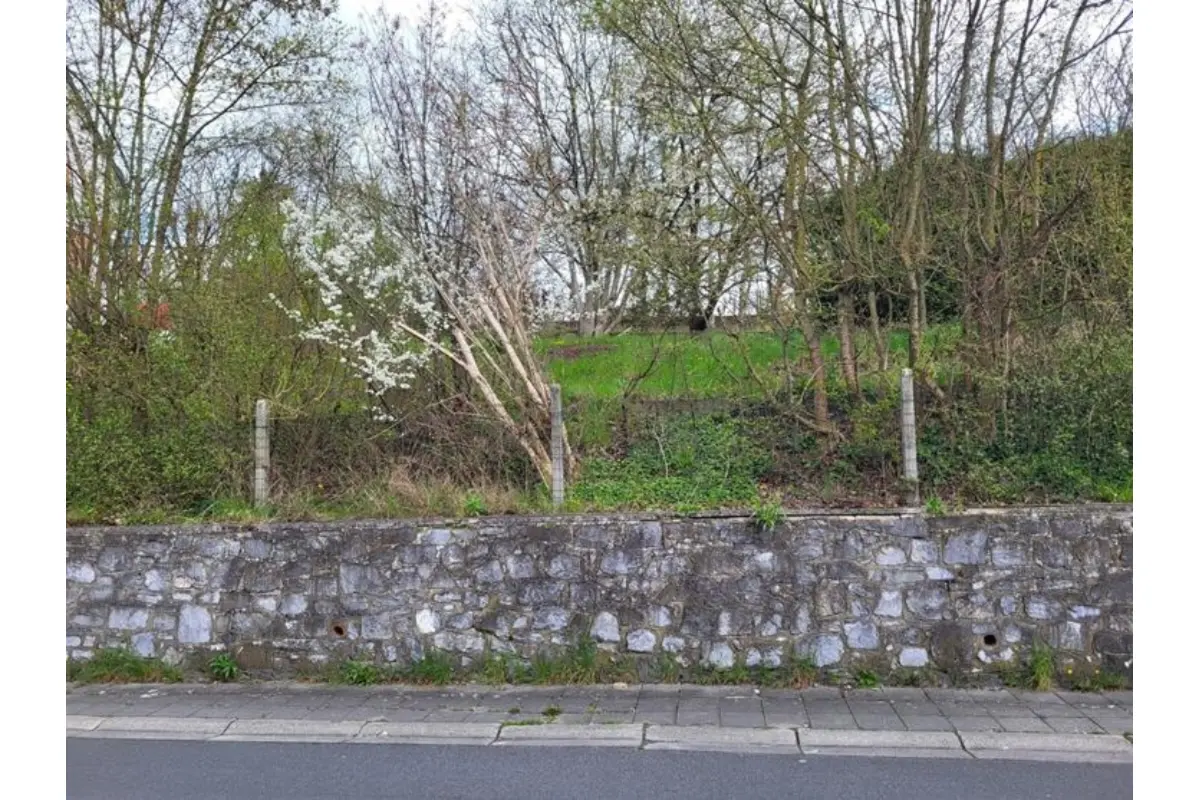 Terrain à bâtir à vendre à Flawinne 5020 59000.00€  chambres m² - annonce 766990