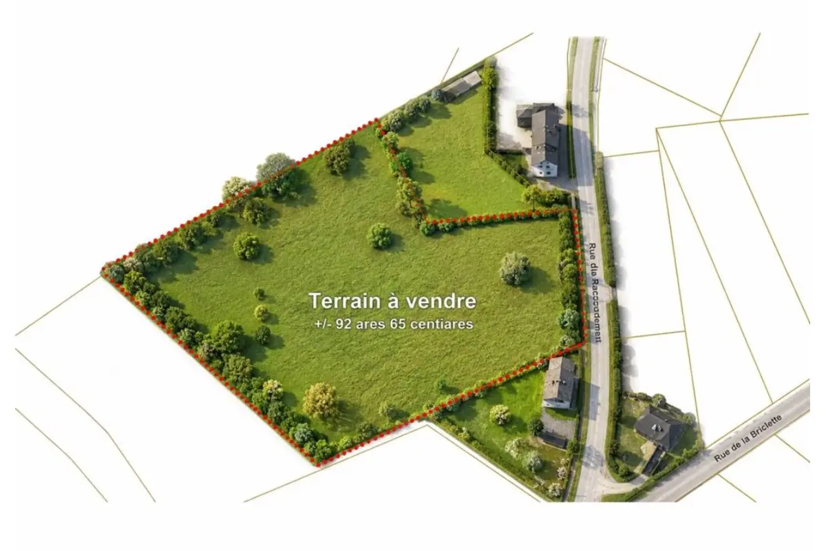 Terrain à vendre à Brûly-de-Pesche 5660 65000.00€  chambres m² - annonce 767373