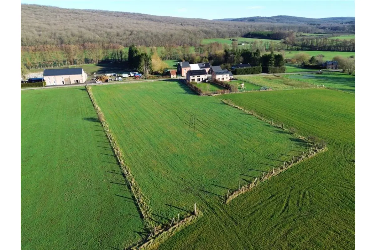 Terrain à vendre à Boussu-en-Fagne 5660 65000.00€  chambres m² - annonce 769748