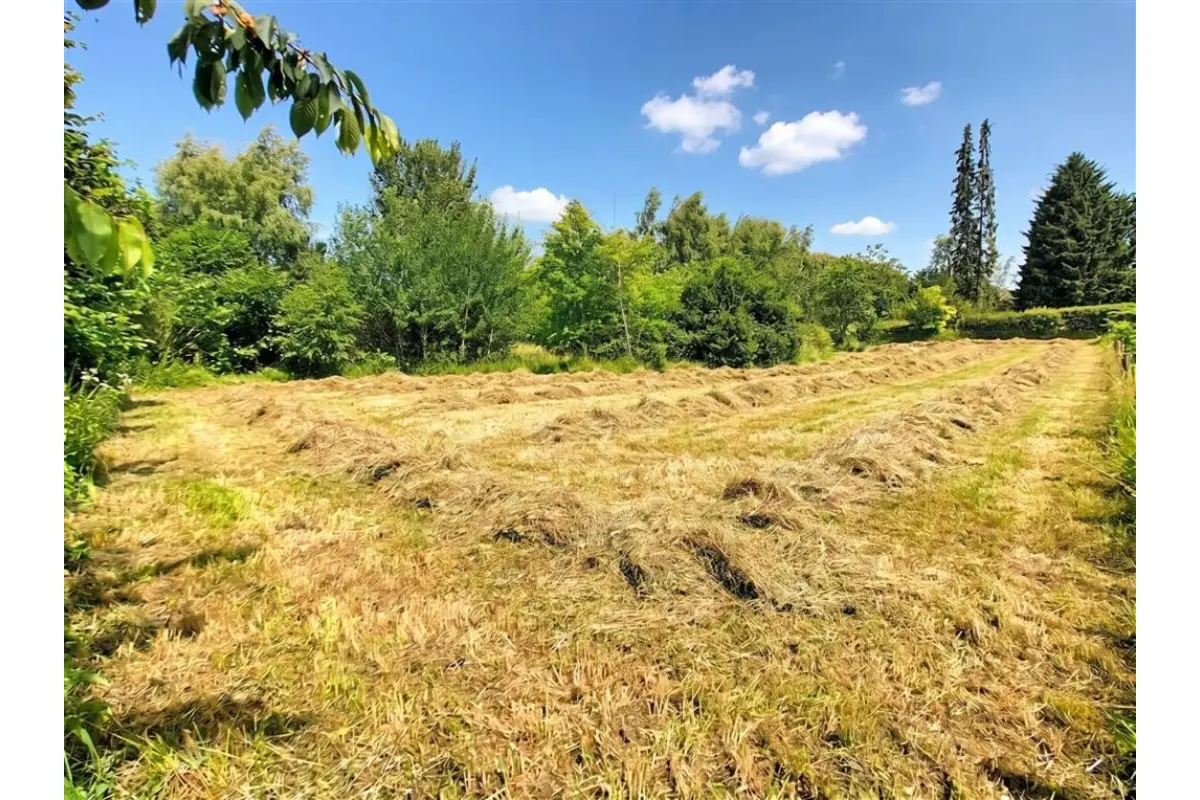 Terrain à vendre à Oignies-en-Thiérache 5670 60000.00€  chambres m² - annonce 785411