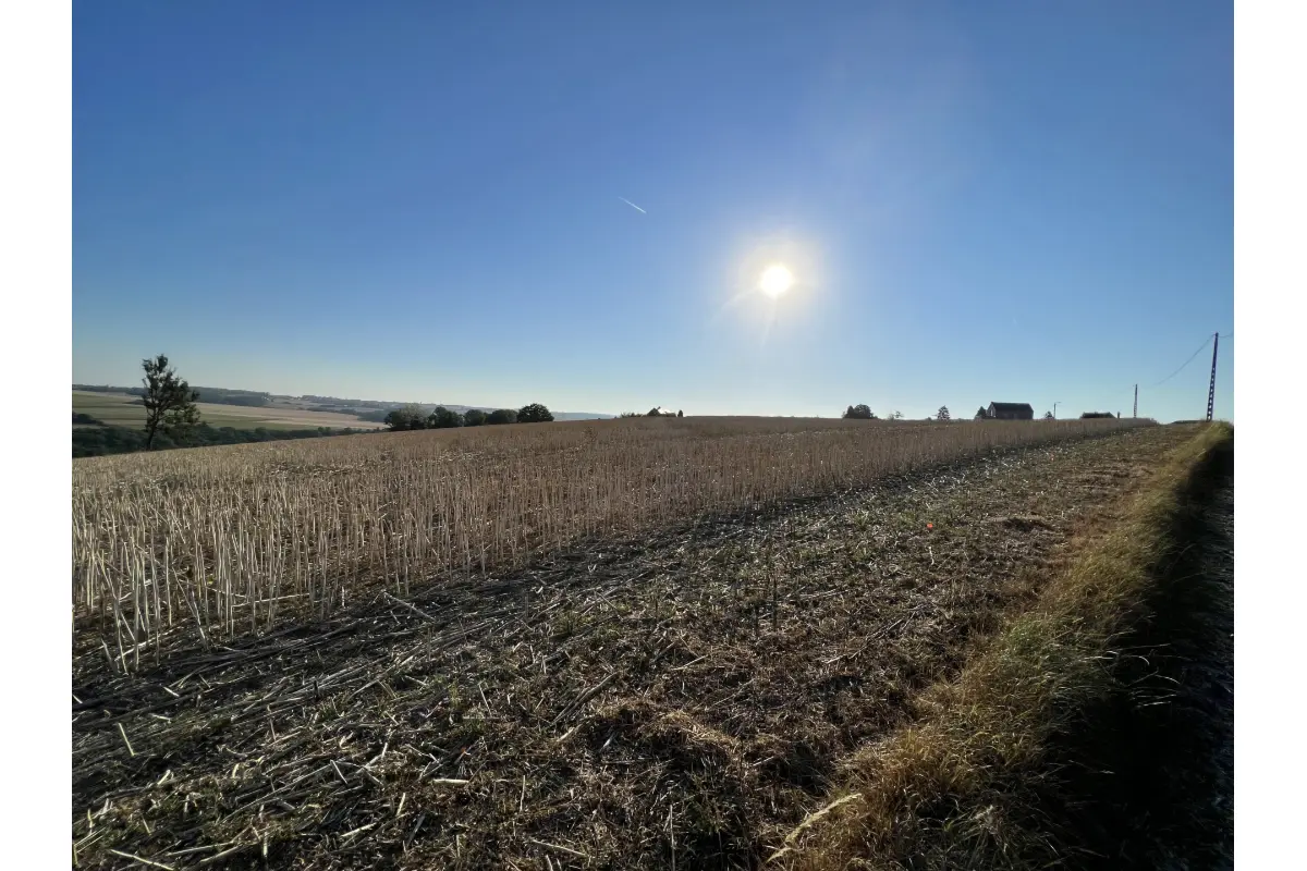 Terrain à vendre à Hastière 5540 80000.00€  chambres m² - annonce 786086