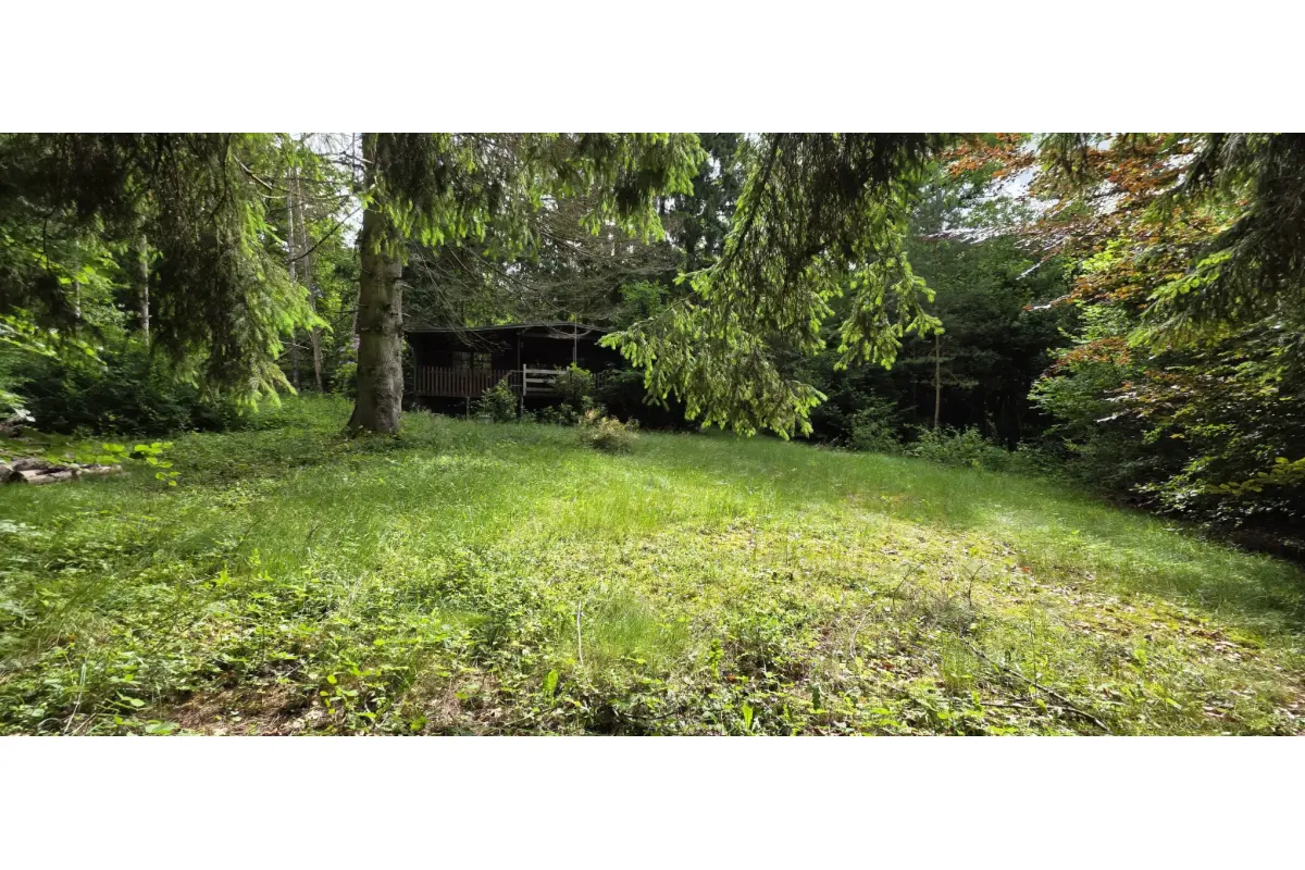 Maison à vendre à Gedinne 5575 110000.00€ 1 chambres 36.00m² - annonce 786789
