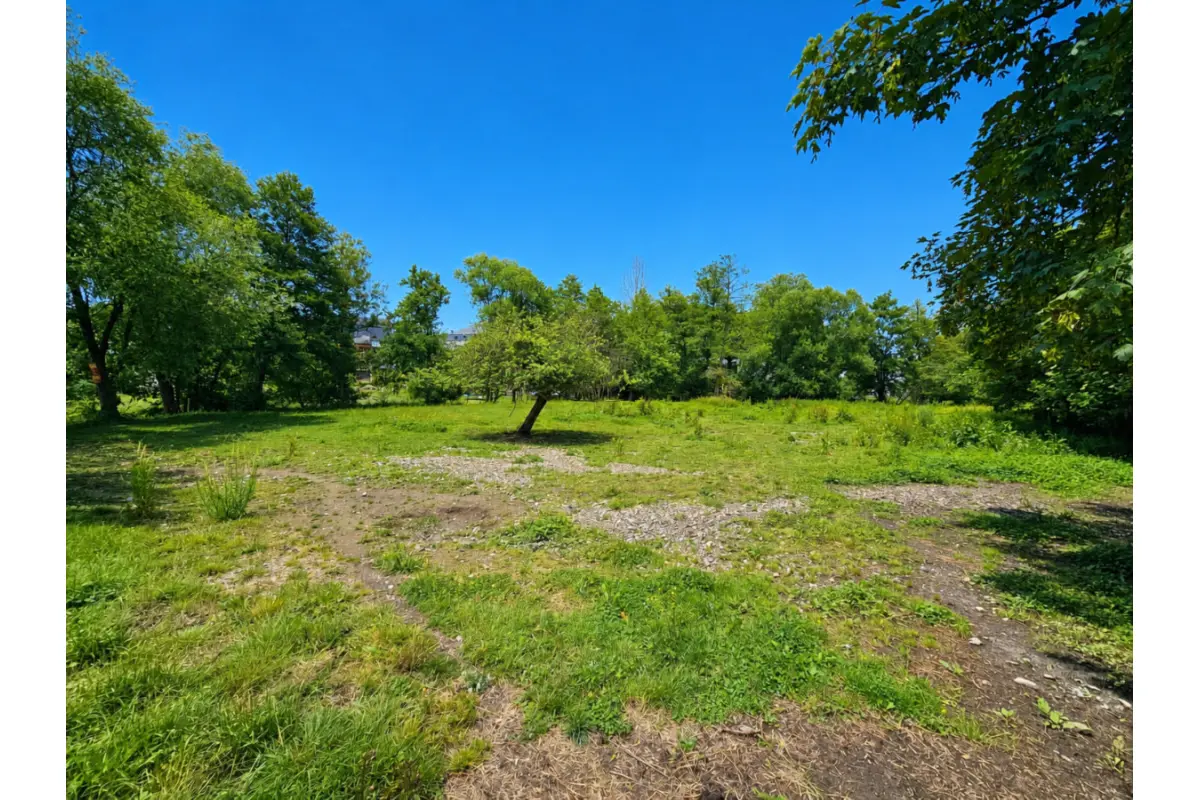 Terrain à bâtir à vendre à Viroinval 5670 49000.00€  chambres m² - annonce 788562