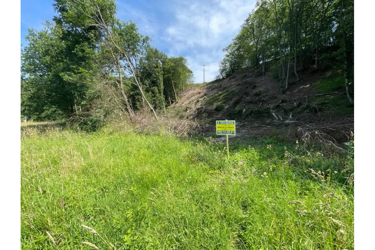 Terrain à vendre à Petigny 5660 10000.00€  chambres m² - annonce 796156