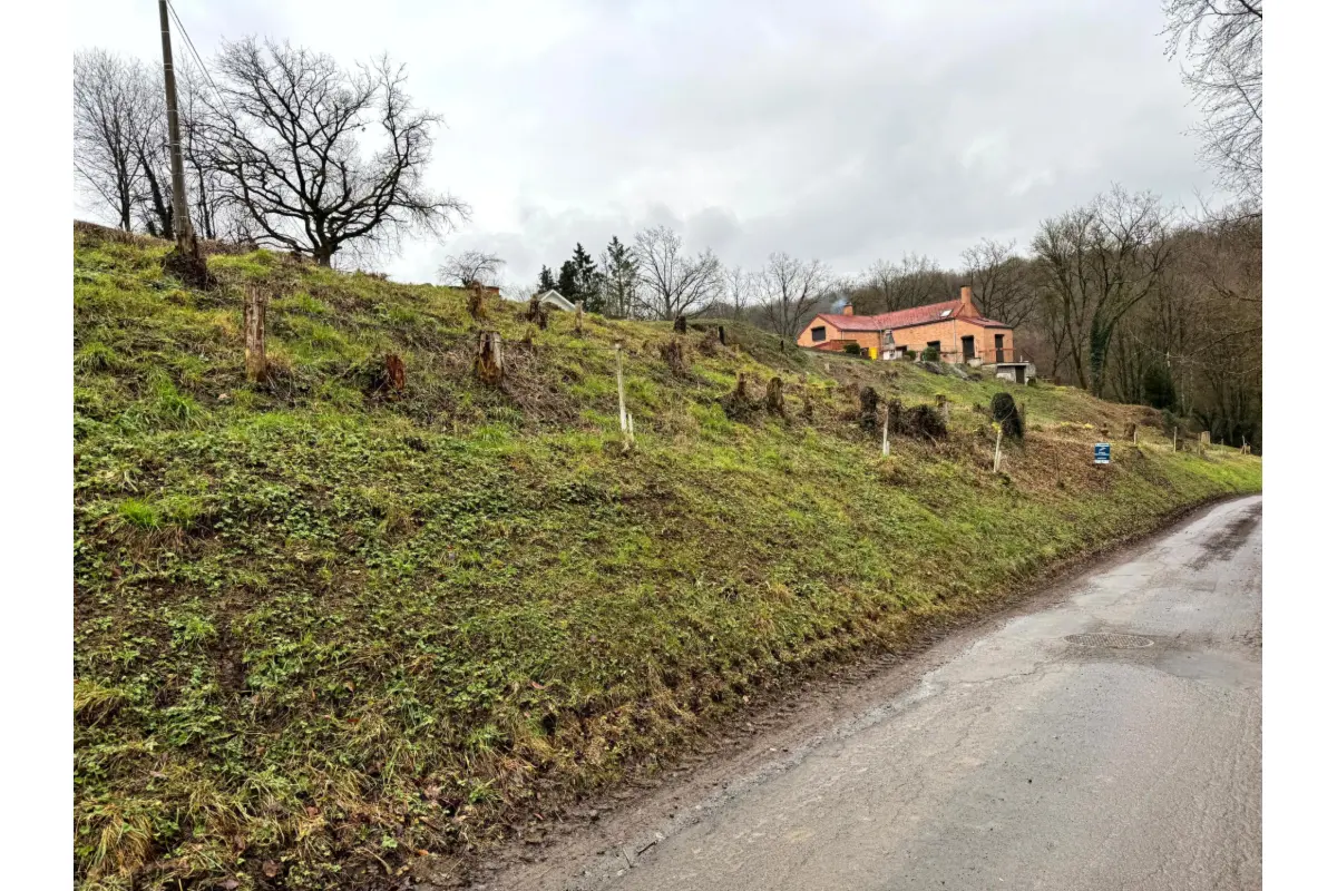 Terrain à vendre à Franchimont 5600 40000.00€  chambres m² - annonce 801180