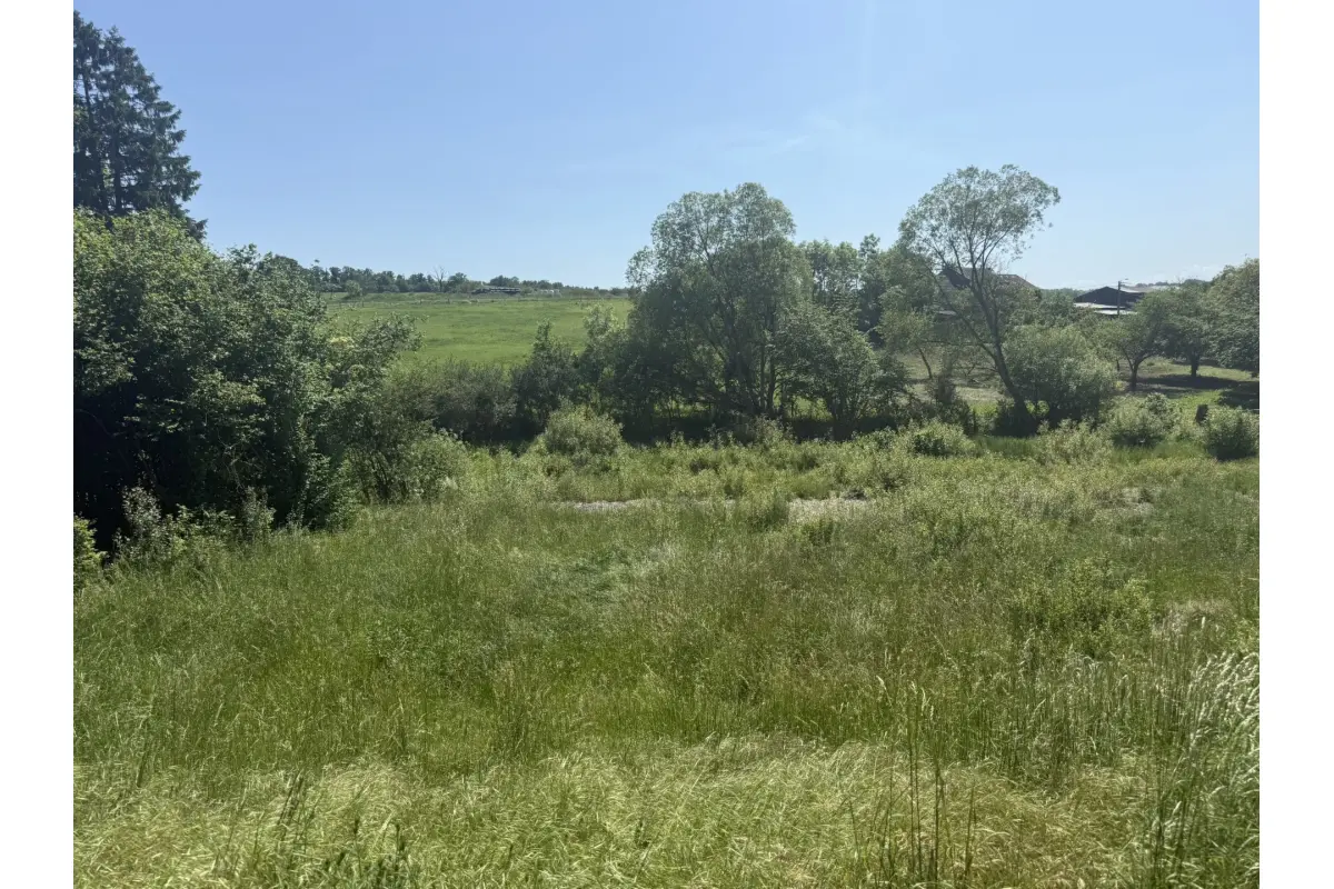 Terrain à vendre à Sinsin 5377 79000.00€  chambres m² - annonce 808414