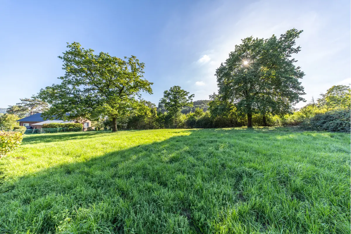 Terrain à vendre à Anhée 5537 90000.00€  chambres m² - annonce 814070