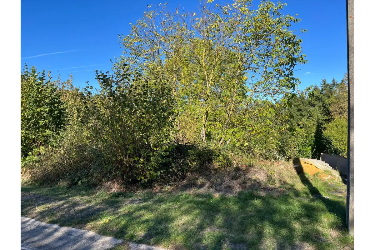 Terrain à vendre à Ciergnon 5560 28500.00€  chambres m² - annonce 826591